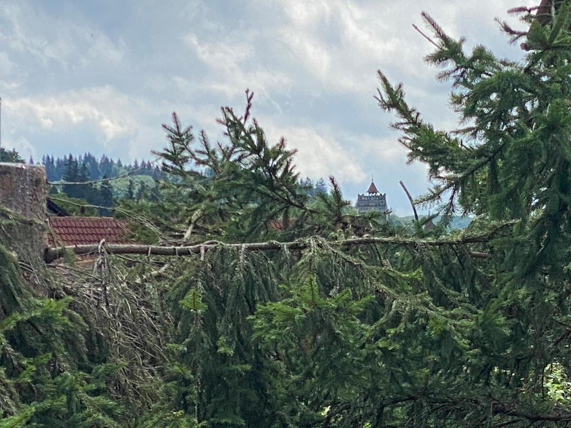 Vila Alunis 2 Bran  Dış mekan fotoğraf